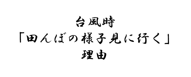 台風時 田んぼの様子見に行く 理由とは イケてる転職